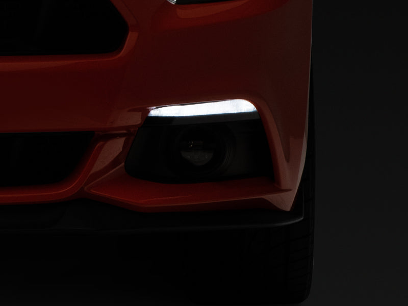 Load image into Gallery viewer, Photo - Close Up
