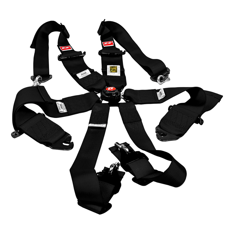Load image into Gallery viewer, FT PRO 6 Point Camlock Racing Harness FIA 2/3"
