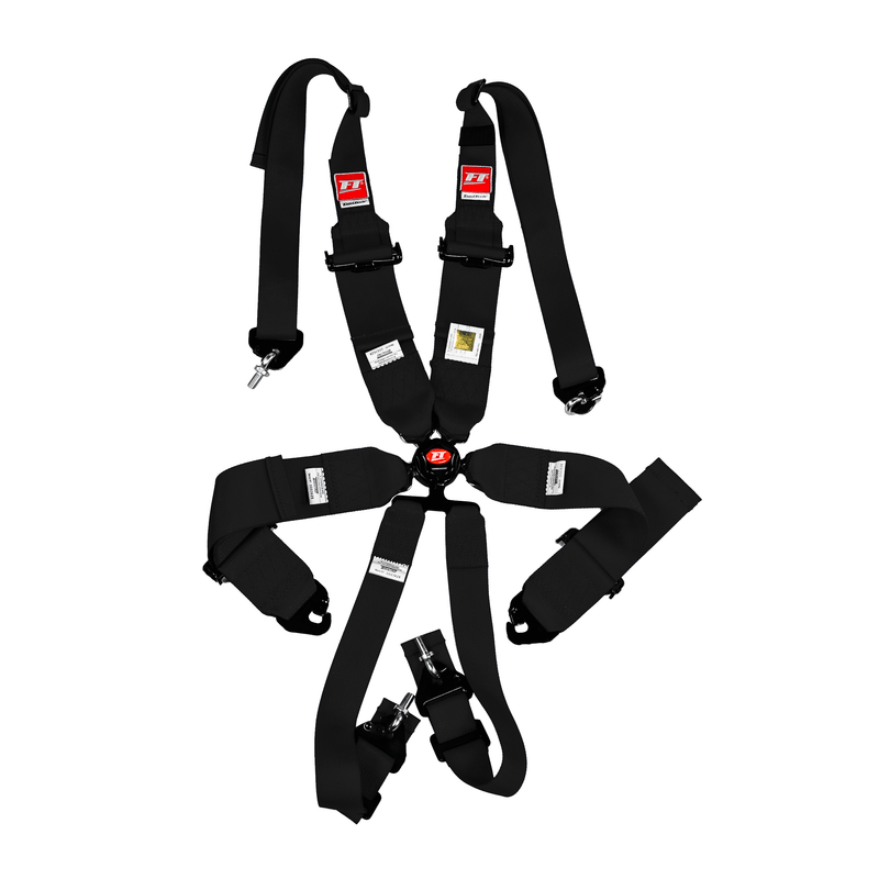 Load image into Gallery viewer, FT PRO 6 Point Camlock Racing Harness FIA 2/3"
