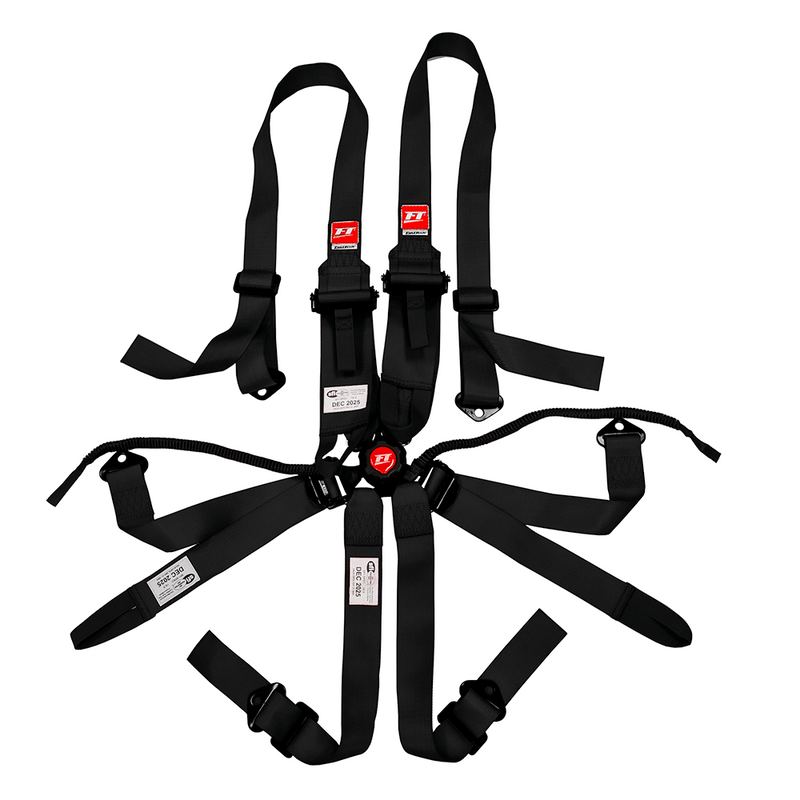 Load image into Gallery viewer, FuelTech Camlock Racing harnesses are SFI 16.1 certified
