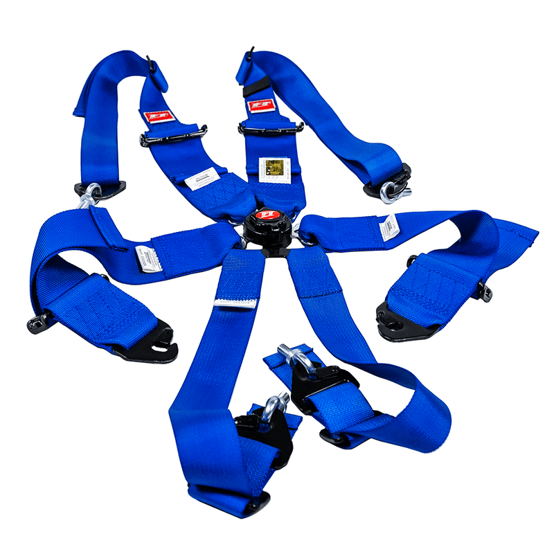 Load image into Gallery viewer, FT PRO 6 Point Camlock Racing Harness FIA 2/3"
