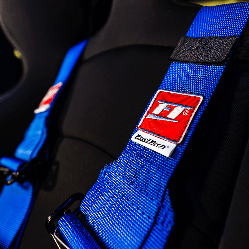Load image into Gallery viewer, FT PRO 6 Point Camlock Racing Harness FIA 2/3"
