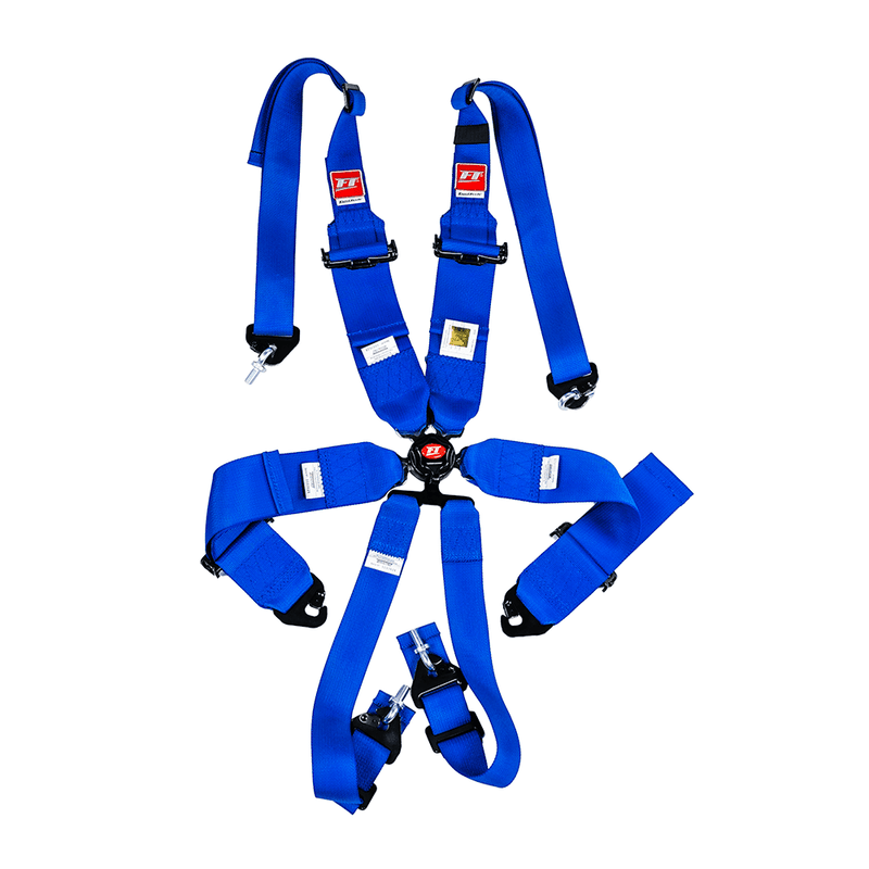 Load image into Gallery viewer, FT PRO 6 Point Camlock Racing Harness FIA 2/3"
