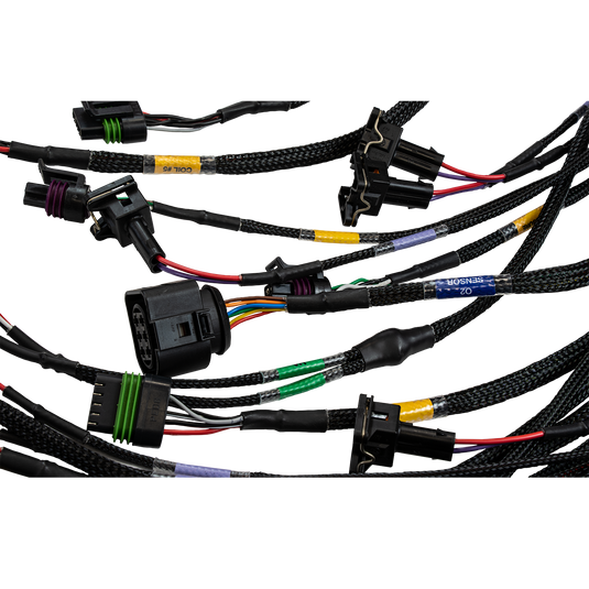 FT450/FT550 6 Cylinder Universal A Harness