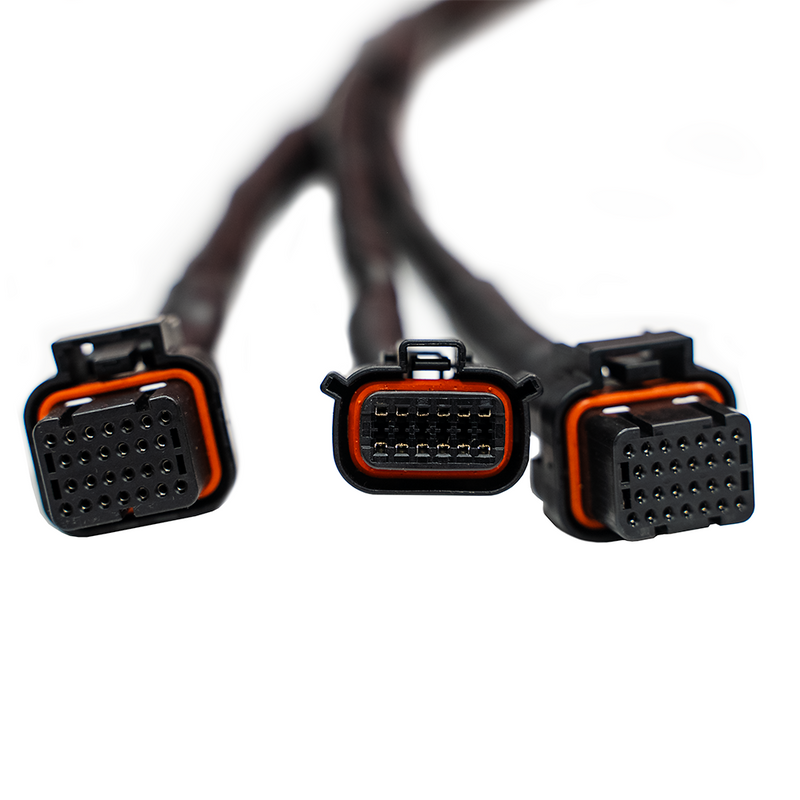 Load image into Gallery viewer, FT550 2024+ Rotax 325 Harness
