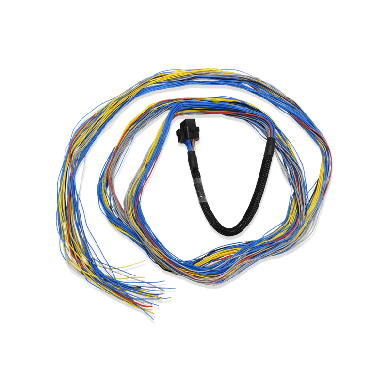 Load image into Gallery viewer, FuelTech Unterminated Wiring Harness to install FT600 or FT700 engine management system.
