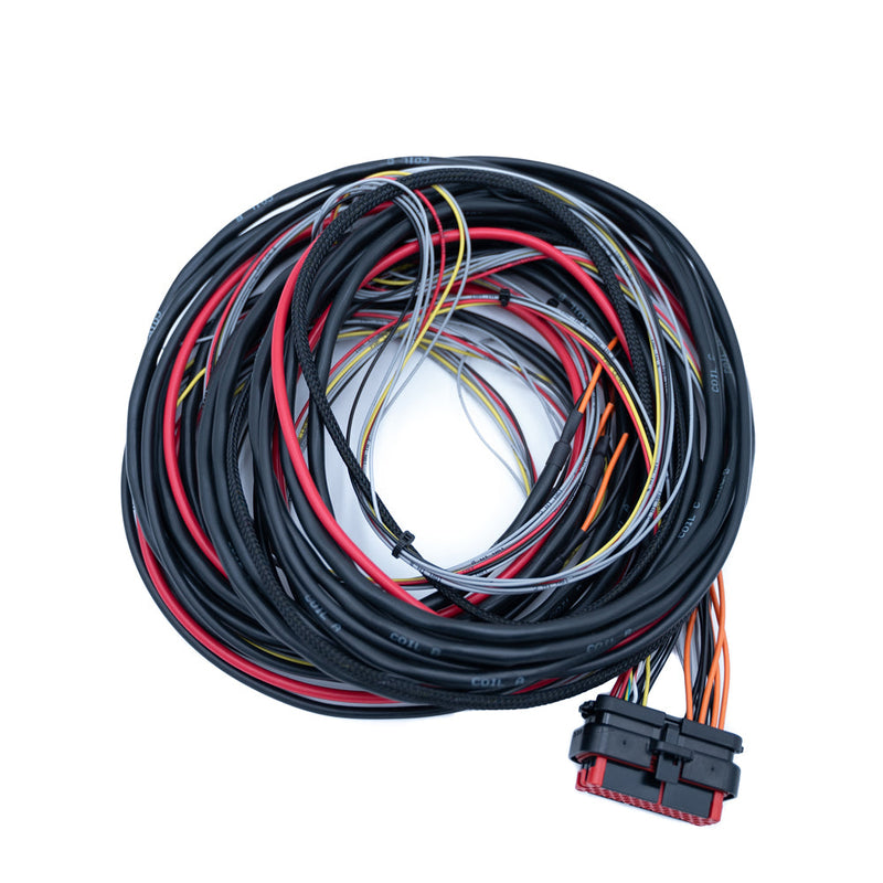 Load image into Gallery viewer, FTSPARK-4 Wiring Harness for CDI Ignition Module
