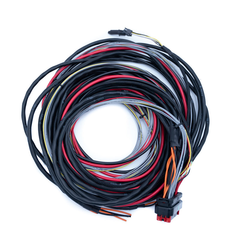 Load image into Gallery viewer, FuelTech FTSPARK-6 CDI Ignition Module Wiring Harness
