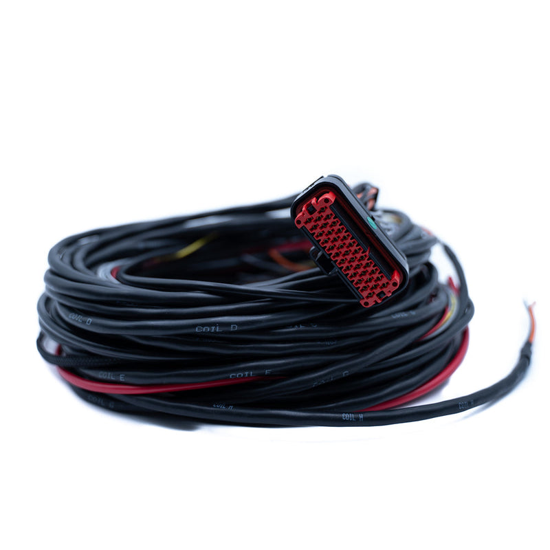 Load image into Gallery viewer, FuelTech FTSPARK-8 Wiring Harness Connector

