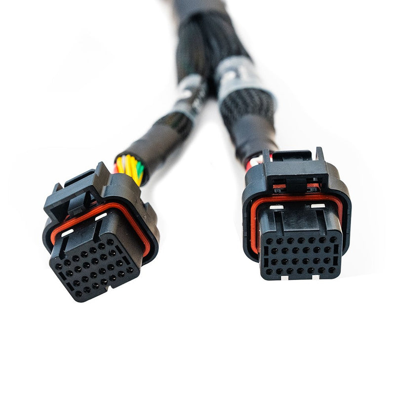 Load image into Gallery viewer, Unterminated wiring harness to install the FT700 ECU - customized engine management system installation for C and D connector. 
