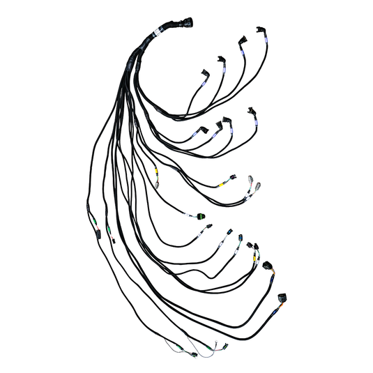 FT600 PRO V8 Complete Harness