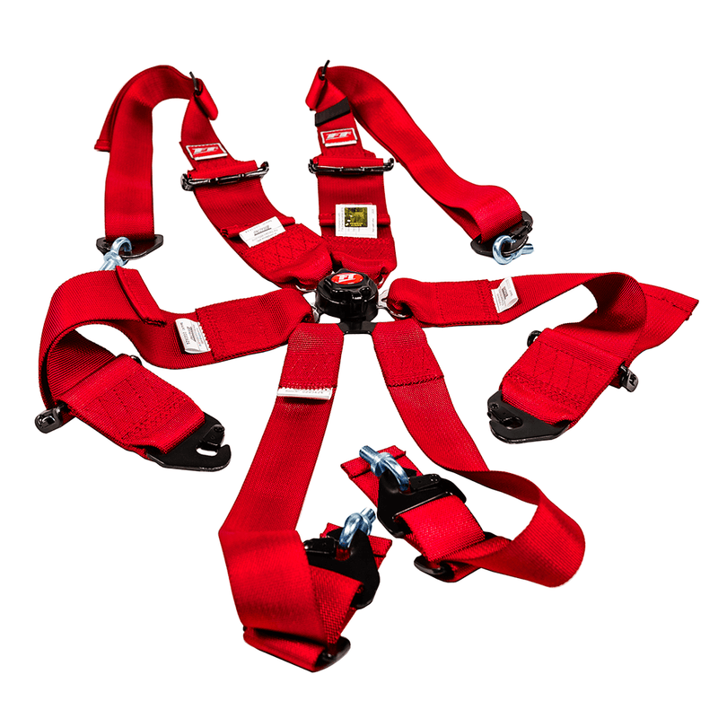 Load image into Gallery viewer, FT PRO 6 Point Camlock Racing Harness FIA 2/3"
