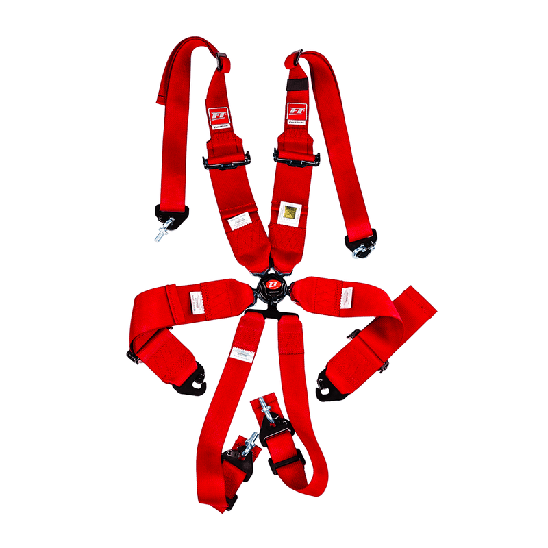Load image into Gallery viewer, FT PRO 6 Point Camlock Racing Harness FIA 2/3"
