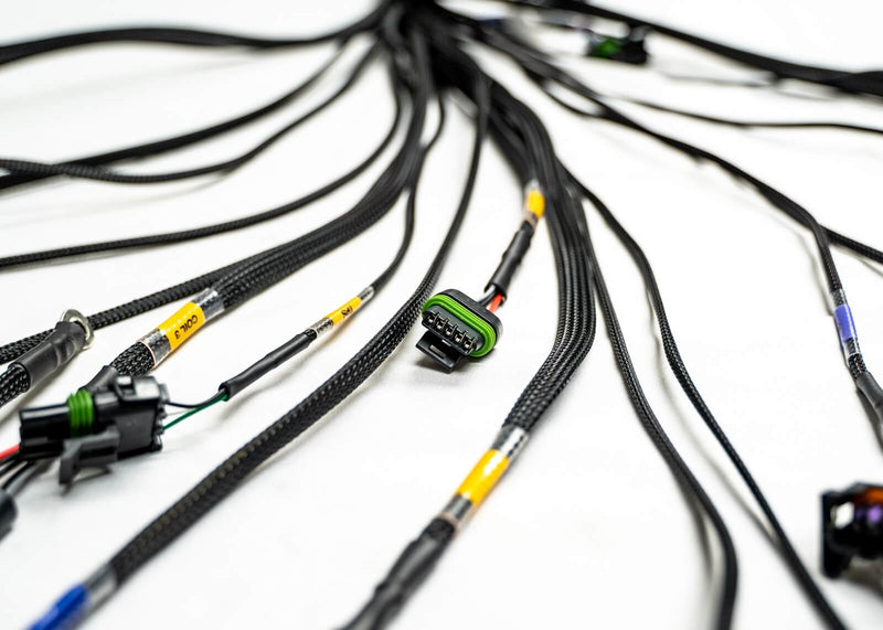 Load image into Gallery viewer, FT450/550 4 Cylinder Universal A Harness
