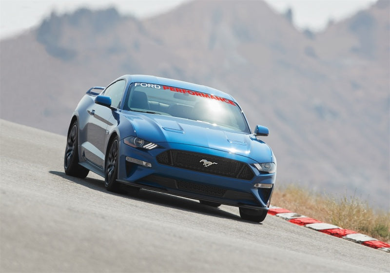 Load image into Gallery viewer, Photo - Mounted
