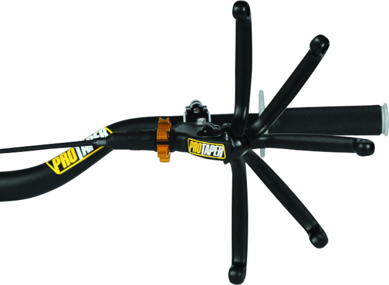 Load image into Gallery viewer, ProTaper Universal Profile Pro Clutch Perch
