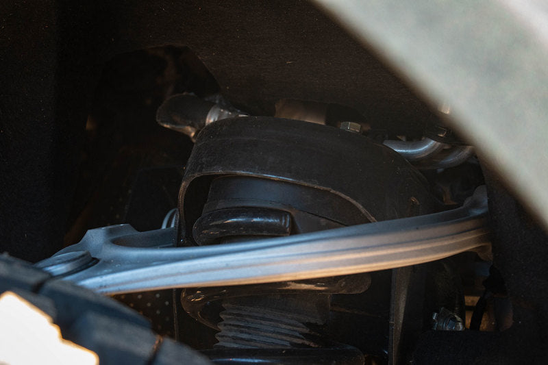 Load image into Gallery viewer, Photo - Mounted
