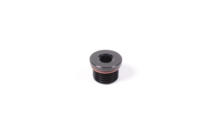 Load image into Gallery viewer, Radium Engineering Universal 10AN  Orb Plug
