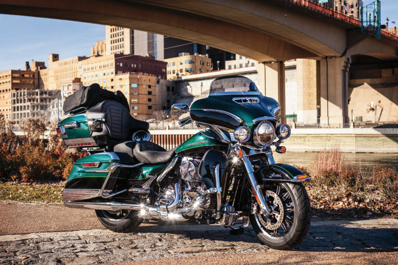 Load image into Gallery viewer, Kuryakyn Momentum Hitchhiker Trunk Rack Bag
