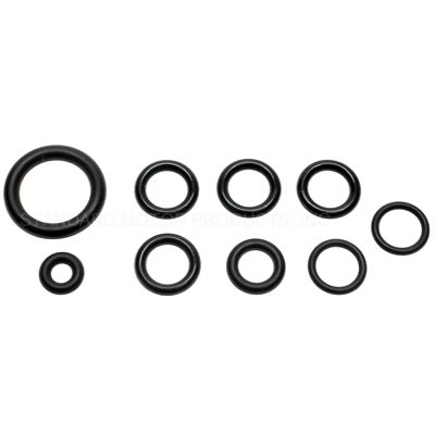 Standard Ignition Fuel Line O-Ring Kit SK24