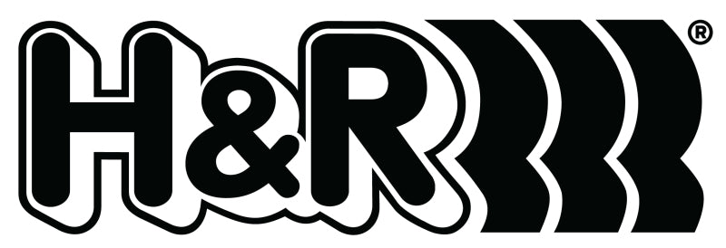 Load image into Gallery viewer, H&amp;R 98-05 Volkswagen Golf/Jetta 1.8T/2.0L/VR6/TDI MK4 25mm Non Adj. Sway Bar - Rear
