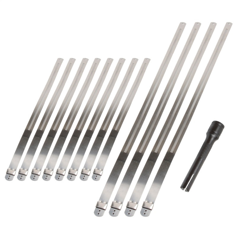 Load image into Gallery viewer, DEI Stainless Steel Positive Locking Tie &amp; Tool Kit - 8in (8 Pack) &amp; 14in (4 Pack)
