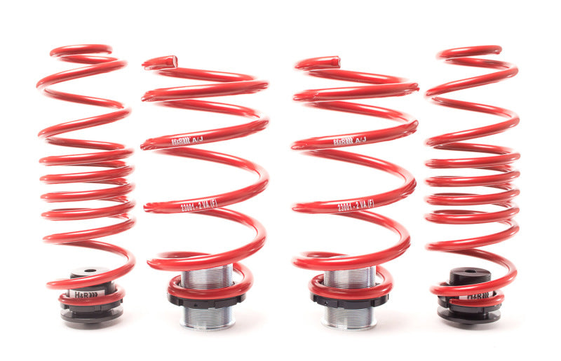 Load image into Gallery viewer, H&amp;R 15-22 Porsche Macan S/Turbo 3.0S/3.6T/2.0T 95B VTF Adjustable Lowering Springs (PASM Only)
