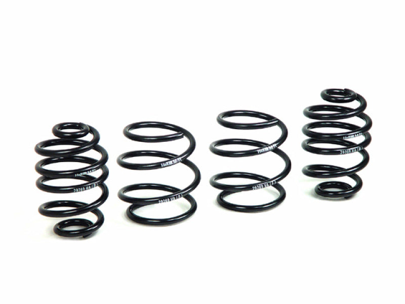 Load image into Gallery viewer, H&amp;R 03-08 BMW Z4 E85 Sport Spring
