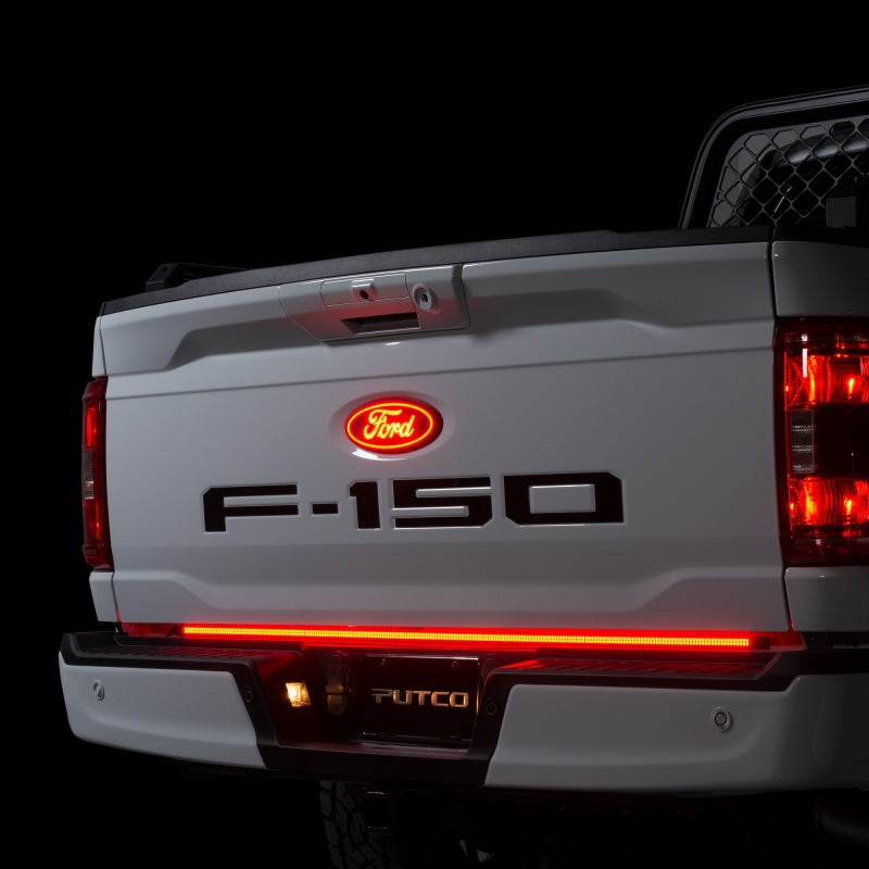 Load image into Gallery viewer, Putco 15-20 Ford F-150 Rear Luminix Ford LED Emblem (Does not Fit Platinum or Limited)
