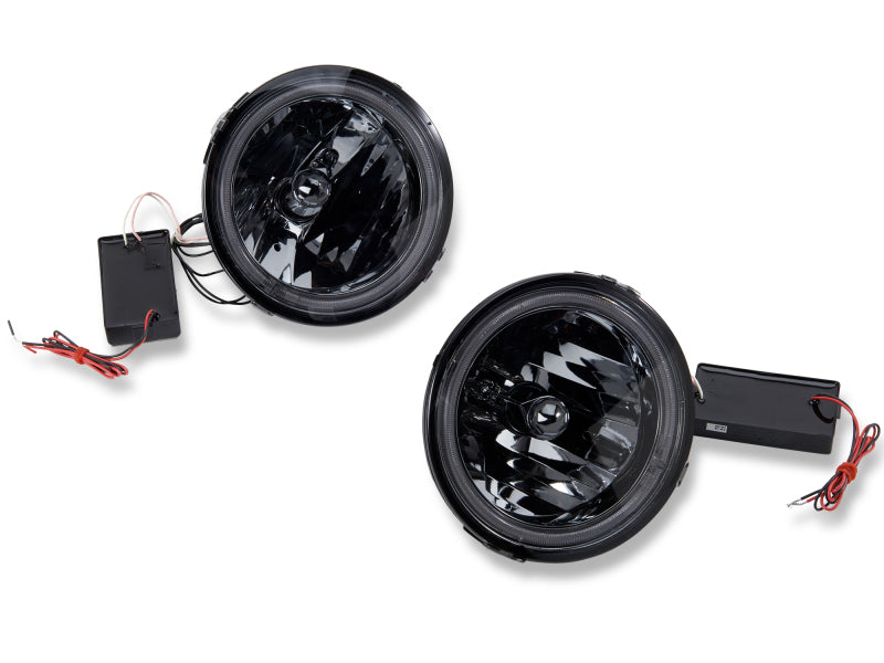 Load image into Gallery viewer, Raxiom 05-12 Ford Mustang GT LED Halo Fog Lights (Smoked)
